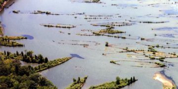 The ghost fleet of Mallows Bay