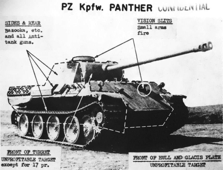 How to Take Down a Panther