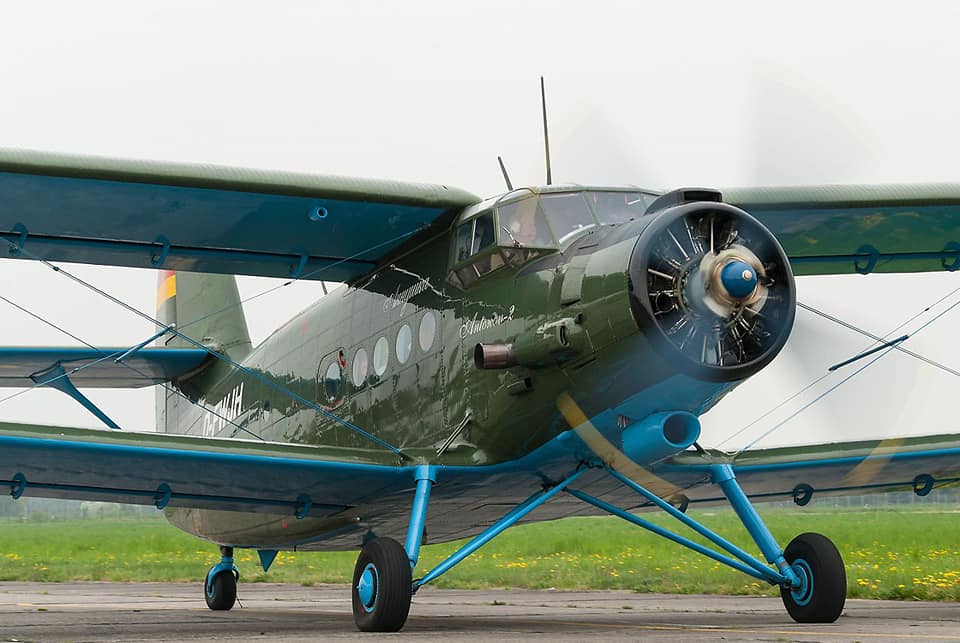 The Plane in the Forest