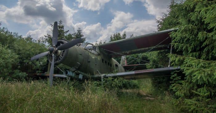 The Plane in the Forest