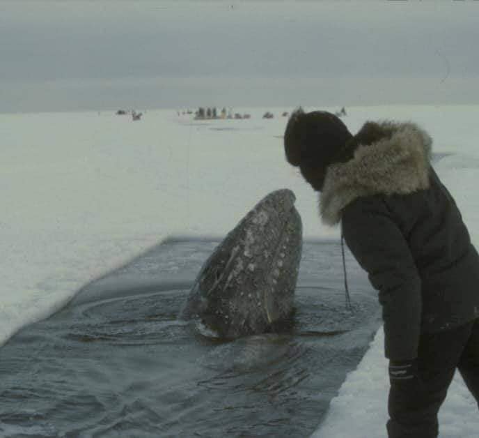 Ice breaker ship in action